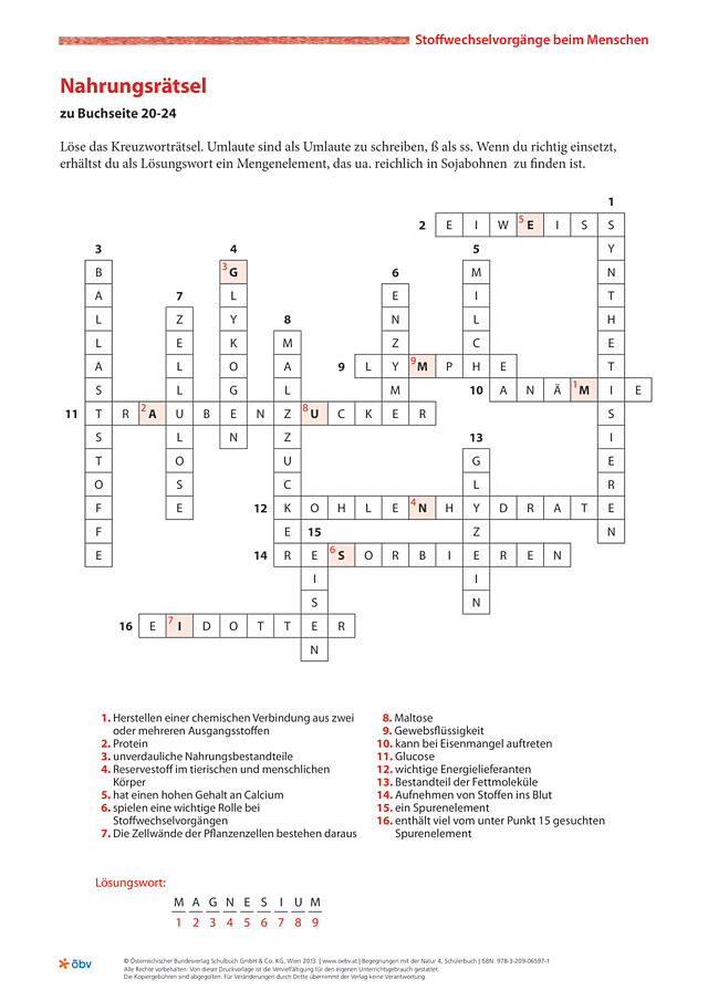 Nahrungsrätsel