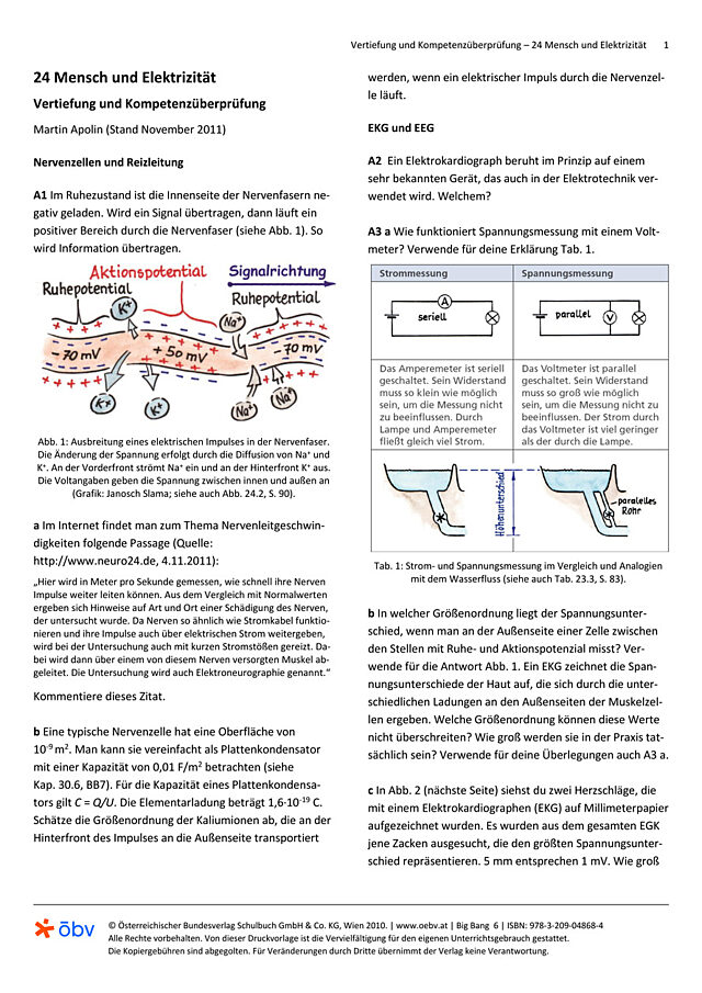Mensch und Elektrizität