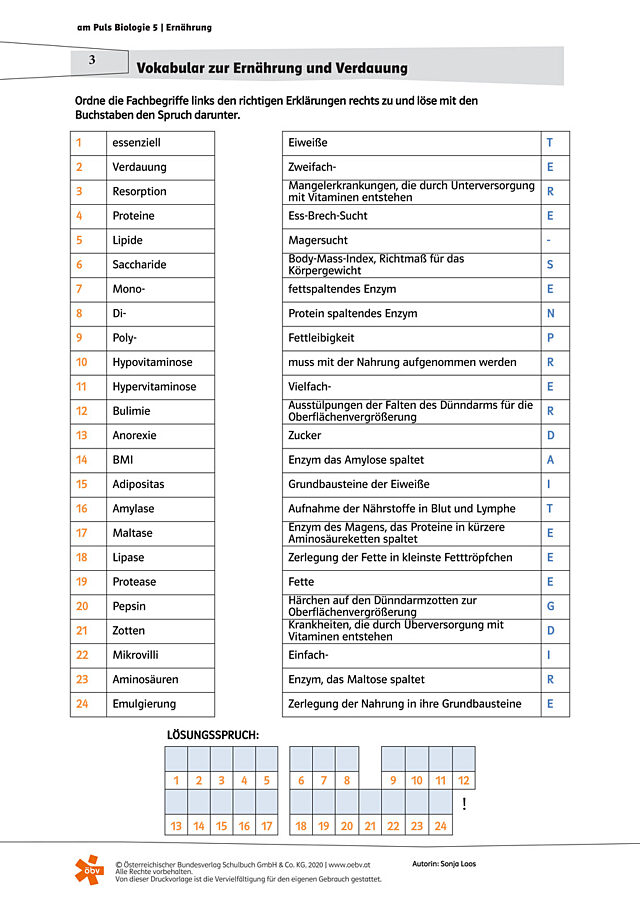 Vokabular zur Ernährung und Verdauung