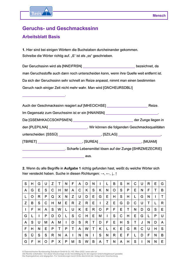 Geruchs- und Geschmackssinn