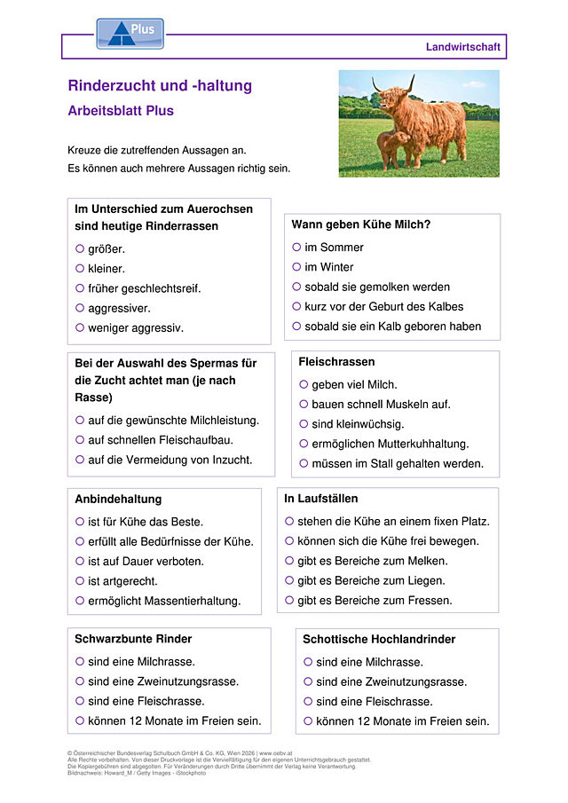 Rinderzucht und -haltung