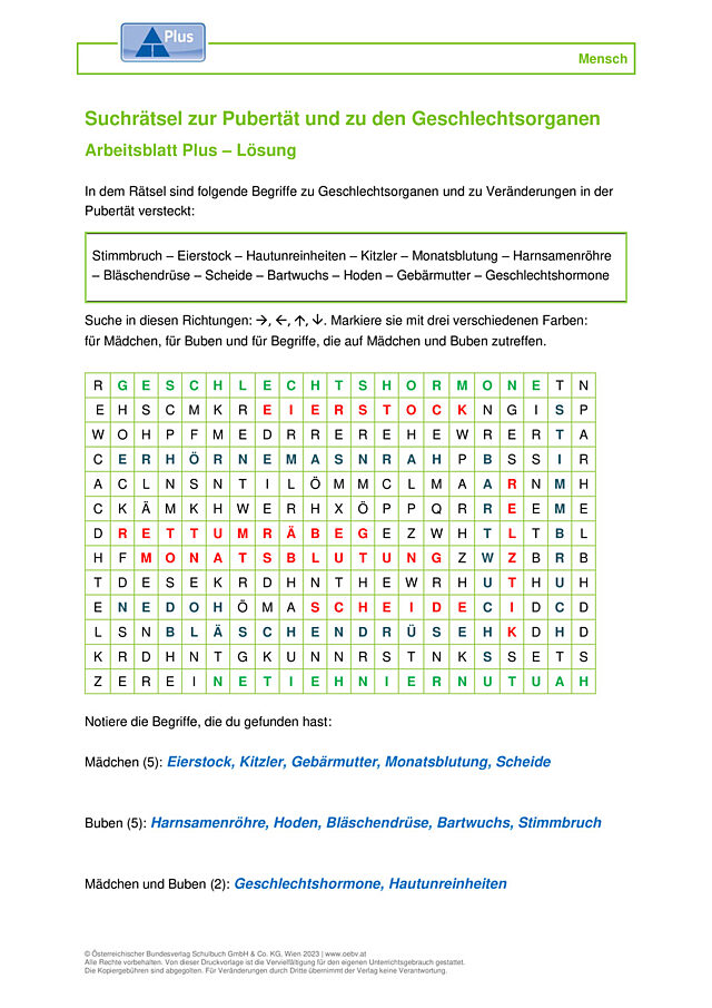 Geschlechtsorgane