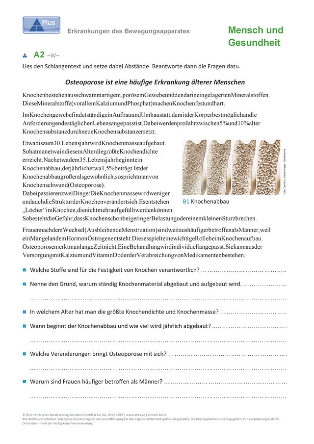 Erkrankungen