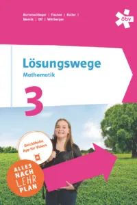 Lösungswege 3