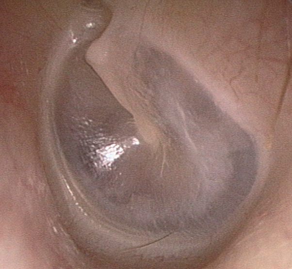377424